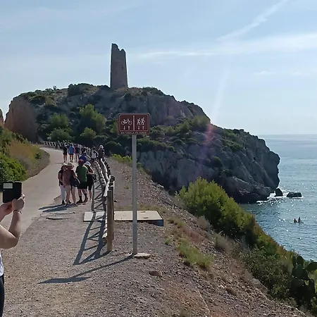 Valparaiso8 * أوروبيسا ذيل مار