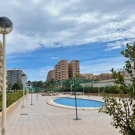 Valparaiso8 * أوروبيسا ذيل مار