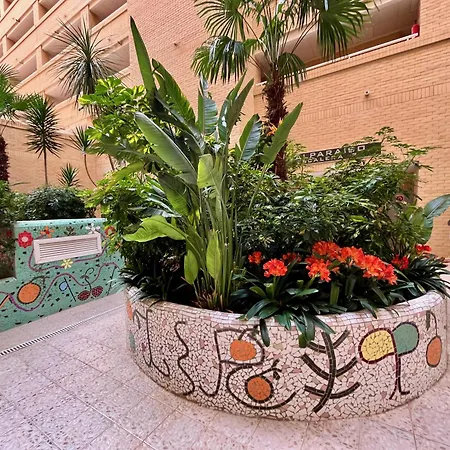 Valparaiso8 アパート オロペサ・デル・マール